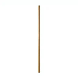 Fruit picker pole