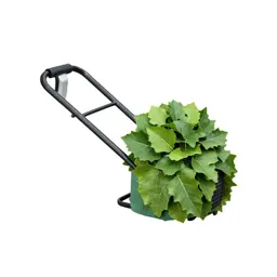 Leaf blower