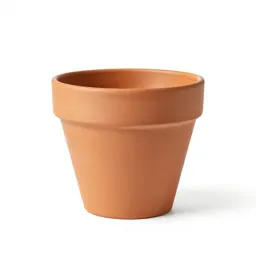 Terracotta plant pot