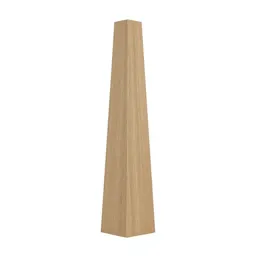 Obelisk plant support