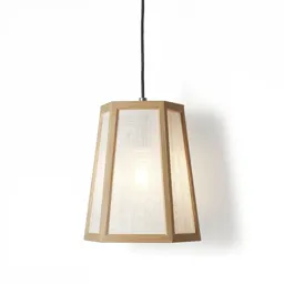 Coastal pendant light