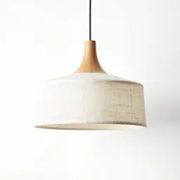 Mid-century modern pendant light