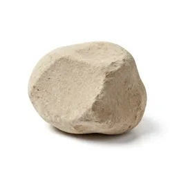 Chunk of pumice