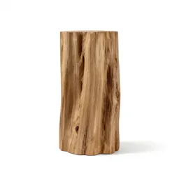 Piece of petrified wood