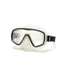 Snorkel and mask