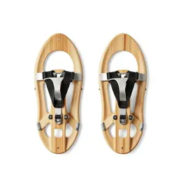 Snow shoe