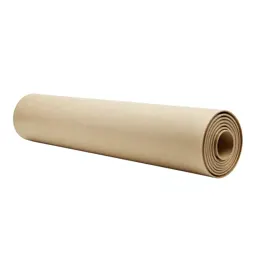 Rolled tube poster case