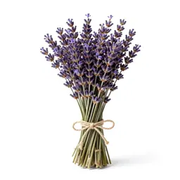 Lavender bunch tied with twine