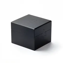 Gothic puzzle box