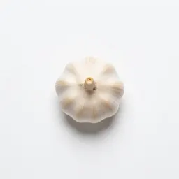 Bulb of garlic