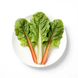 Bunch of rainbow chard