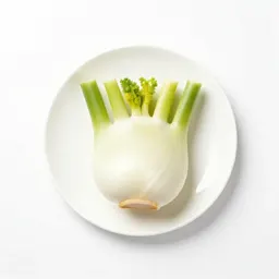 Fennel bulb