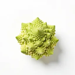 Head of romanesco