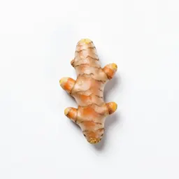 Turmeric root