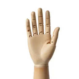 Prosthetic hand