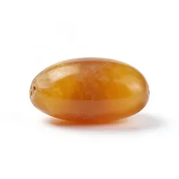 Amber specimen