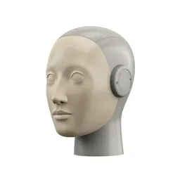 Humanoid robot head