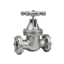 Reactor coolant valve