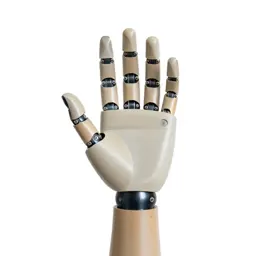 Robotic hand