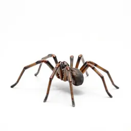Spider walker probe