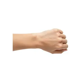 Wrist terminal