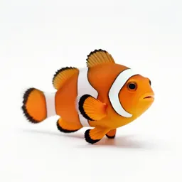 Clownfish in an anemone