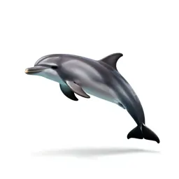 Dolphin mid-leap
