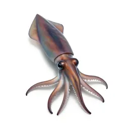 Giant squid