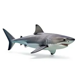 Great white shark