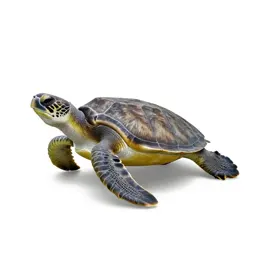 Leatherback turtle