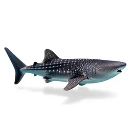 Whale shark with remoras