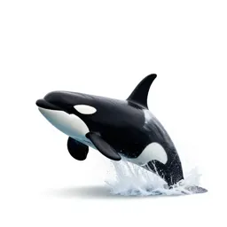 Orca breaching