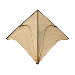 Kite