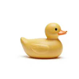 Pull-along duck toy