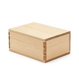 Wooden puzzle box