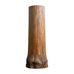 Kauri trunk