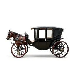 Horse-drawn carriage