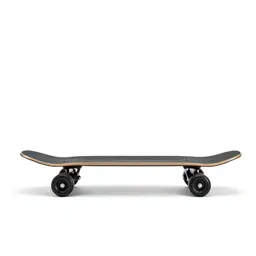 Electric skateboard