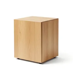 Backup system