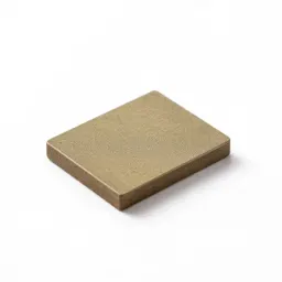 Biochip