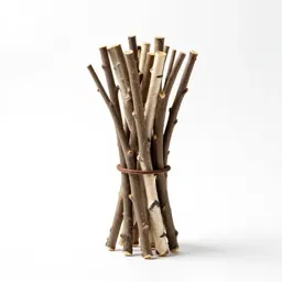 Birch