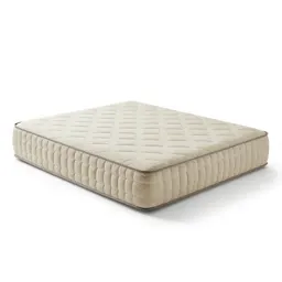 Box spring