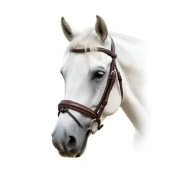 Bridle