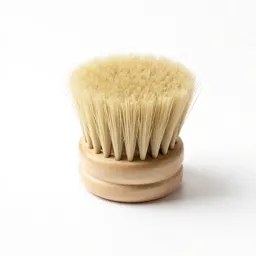 Brush