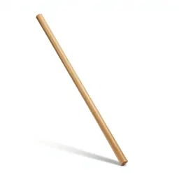 Cane