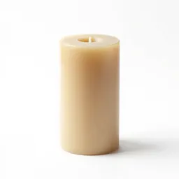 Cantle