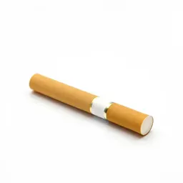 Cigarette holder