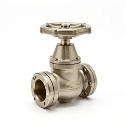 Clack valve