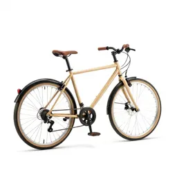 Coaster brake