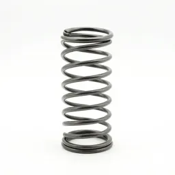Coil spring